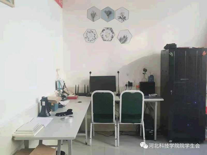 11.gif