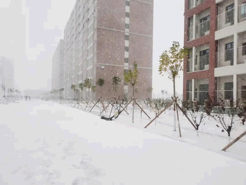 未命名-3.gif