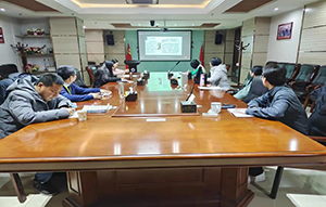 图片11.png