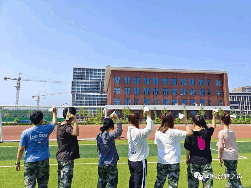 未命名-9.gif