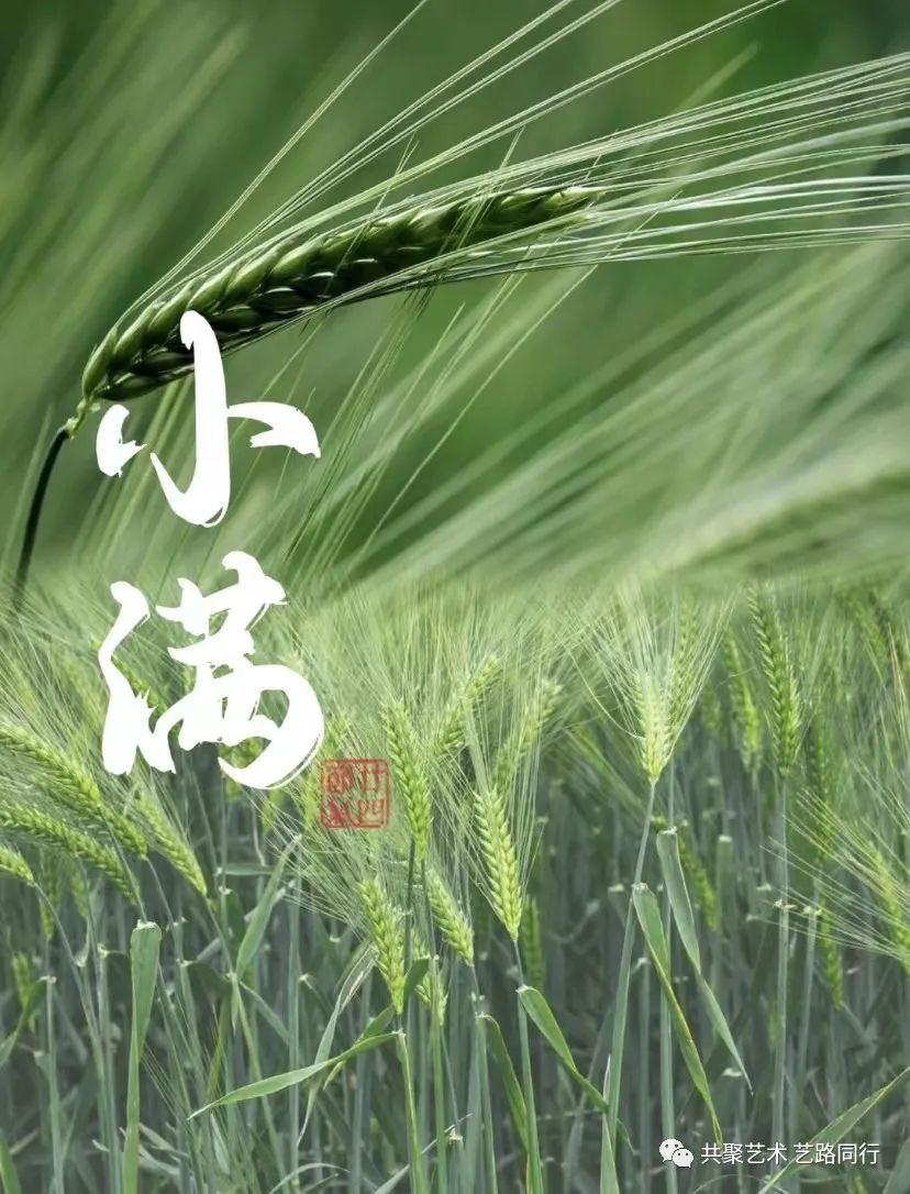 微信图片k6.jpg