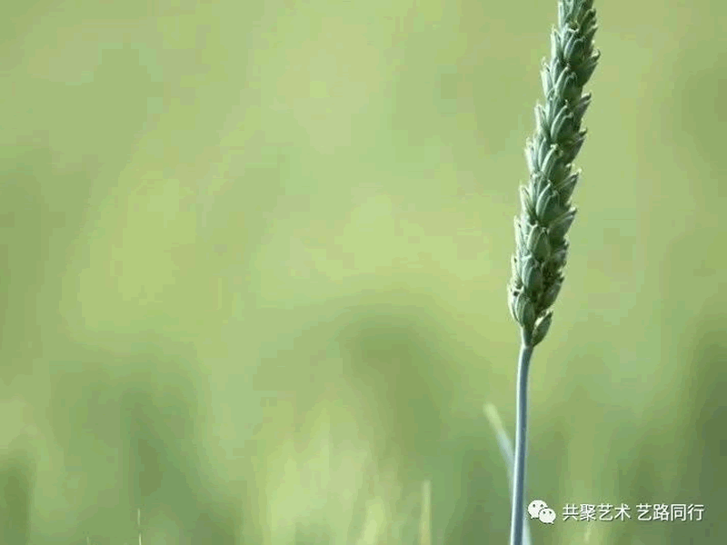 未命名-k7.gif