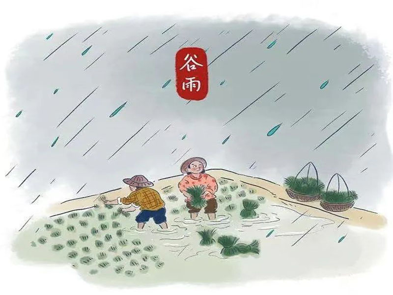 best365体育官网登录入口||科技之声||谷雨时节落杨花