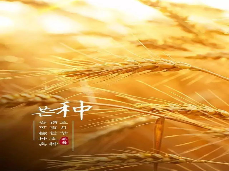 微信图片_20220811182521.jpg
