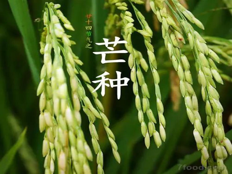微信图片_20220811182546.jpg