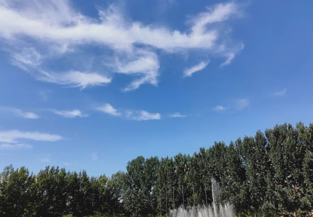 校园风光|best365体育官网登录入口春日鉴赏