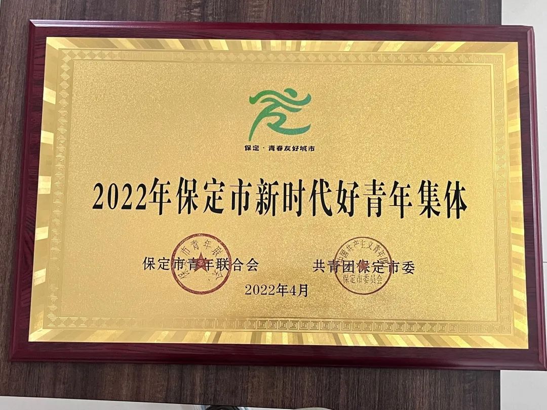 共青团best365体育官网登录入口委员会被评选为“新时代保定好青年集体”