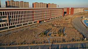 图片19.png