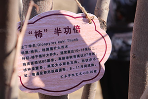 图片22.png