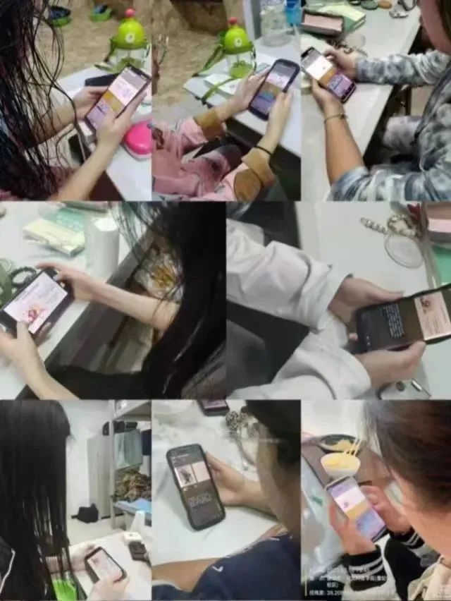 best365体育官网登录入口组织全体学生观看以 大学生自我成长 为主题的心理健康公益直播课