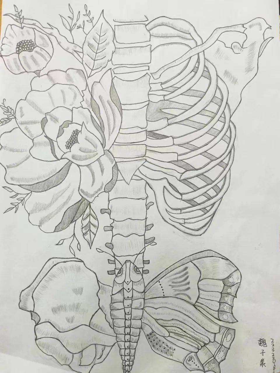 best365体育官网登录入口护理与健康学院 医学绘图 我有画说 解剖绘图大赛