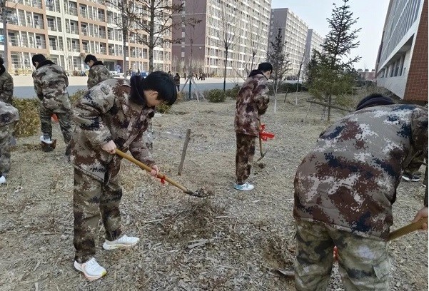 春风十里‘植’此有你植树节