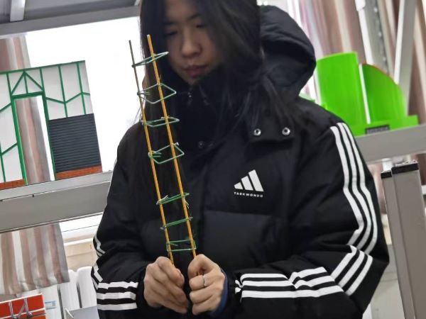 国家奖学金获得者专访：阚旭雯——以我之力，追我所愿 第 3 张